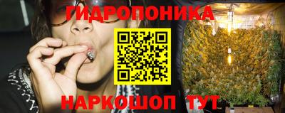 СК Славгород