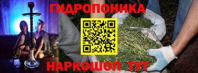 ПСИЛОЦИБИНОВЫЕ ГРИБЫ Сланцы