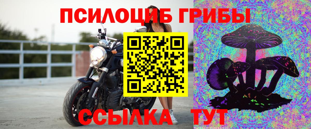 Орск  Псилоцибиновые грибы Psilocybe  Вход с VPN 