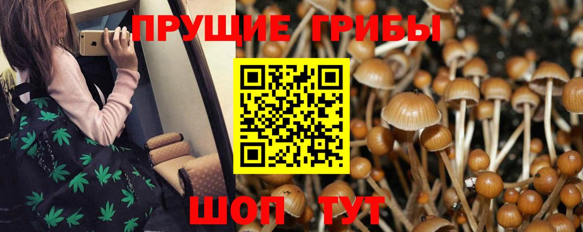 Псилоцибиновые грибы Magic Shrooms Орск